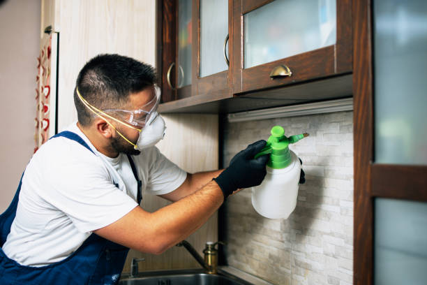 Wildlife Control Services in Pine Hills, FL