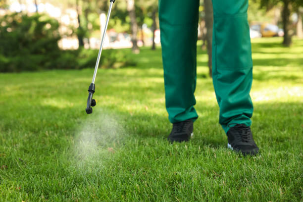 Best Local Pest Control Services  in Pine Hills, FL