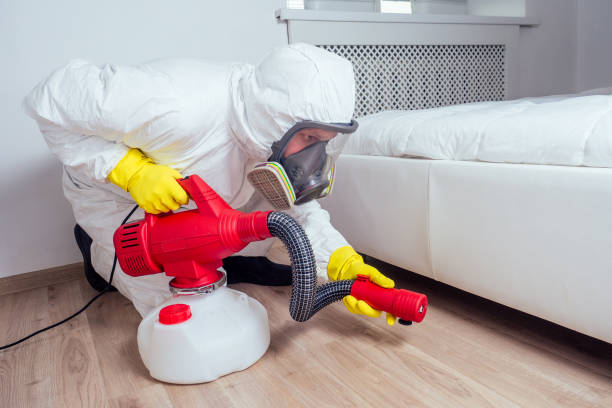 Professional Pest Control in Pine Hills, FL