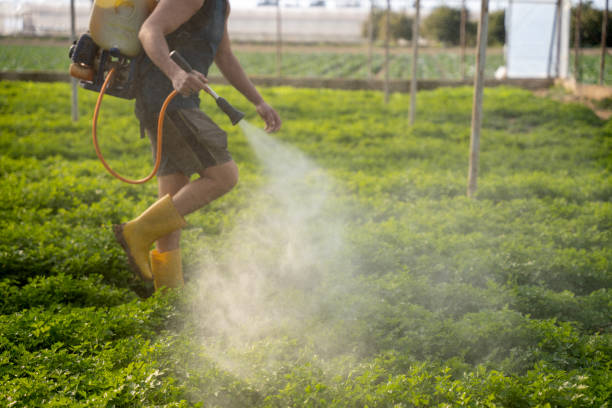 Professional Pest Control in Pine Hills, FL