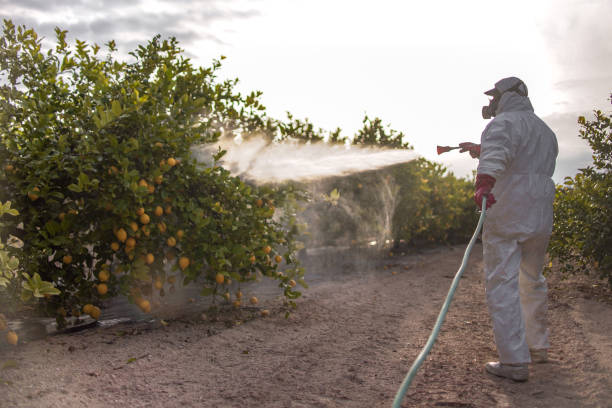 Best Cockroach Control Services  in Pine Hills, FL