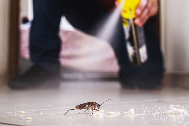 Best Best Pest Control Companies  in Pine Hills, FL