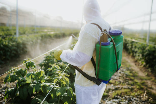 Best Exterminator Services  in Pine Hills, FL